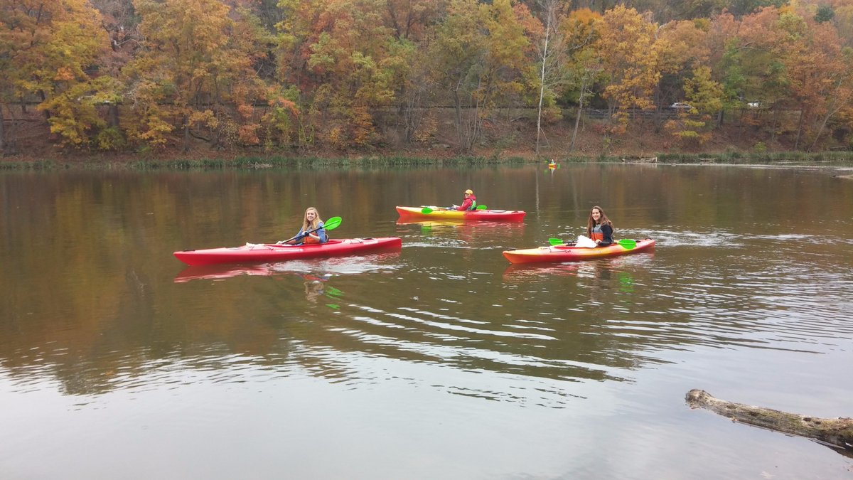 Robert Habegger tweet media