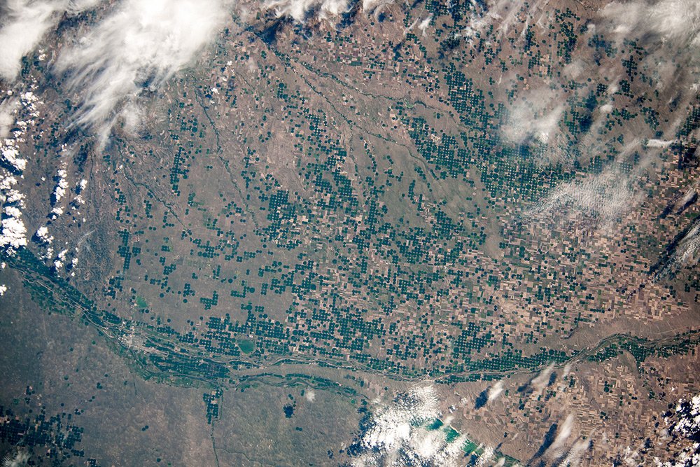 OlegMKS's tweet photo. #США. Поля в штате #Небраска #МКС (#USA. #Plantations in #Nebraska #ISS) #BlueDot https://t.co/A9bTPDaiGW https://t.co/fYdVCwsb5N