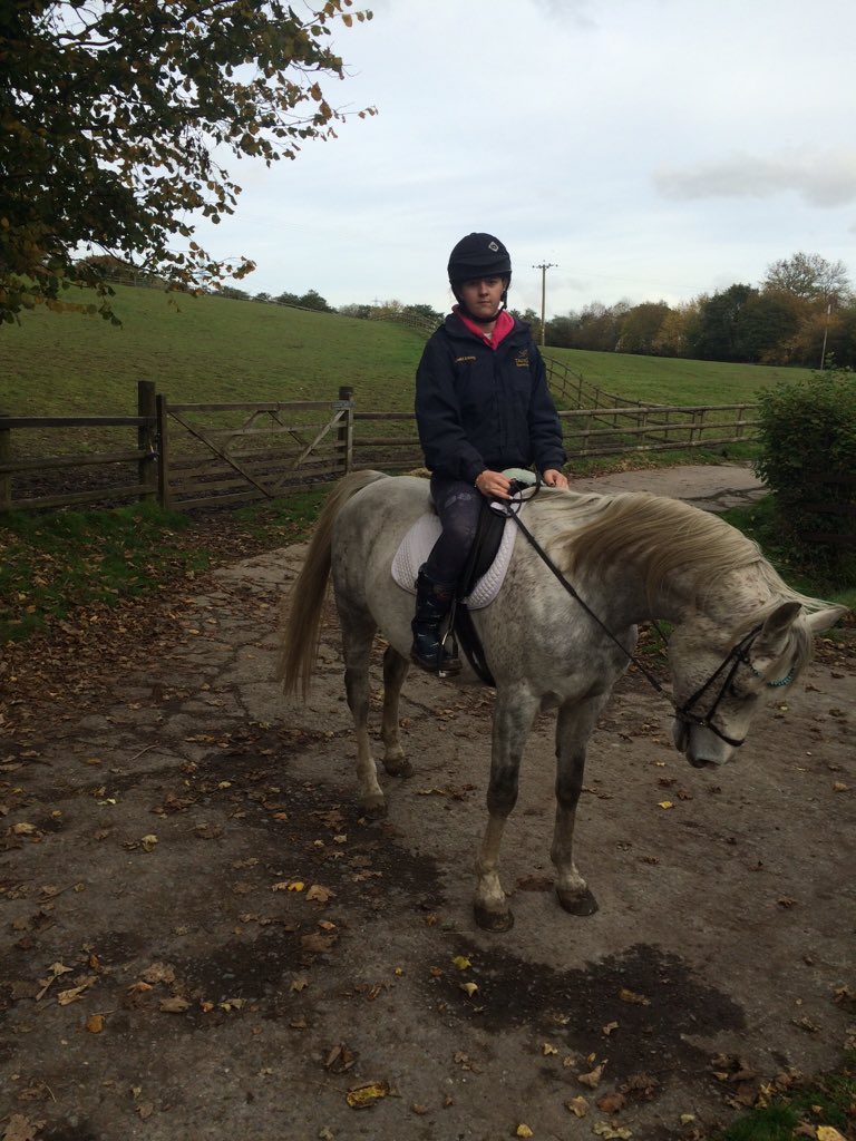 xmissblondie's tweet image. First ride on this lovely boy Fayan 😍 #Arab #grey #horse #firstride #Fayan