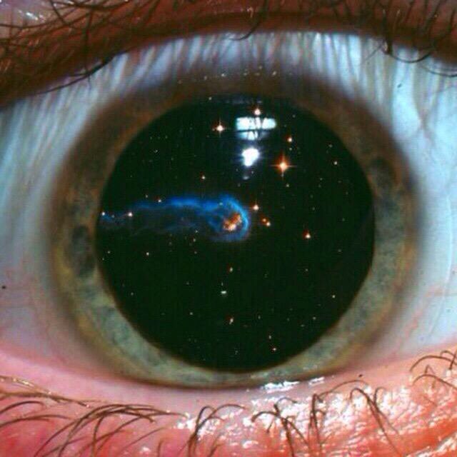 LysergicAcidDi's tweet photo. 🌀 https://t.co/ZEJO0HYZLd