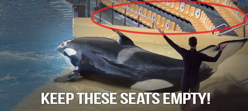 peta's tweet photo. Proof that #TimesRChanging. Nobody wants to see sad, enslaved orcas perform for entertainment! #EmptyTheTanks https://t.co/Kl7dhH5MX4