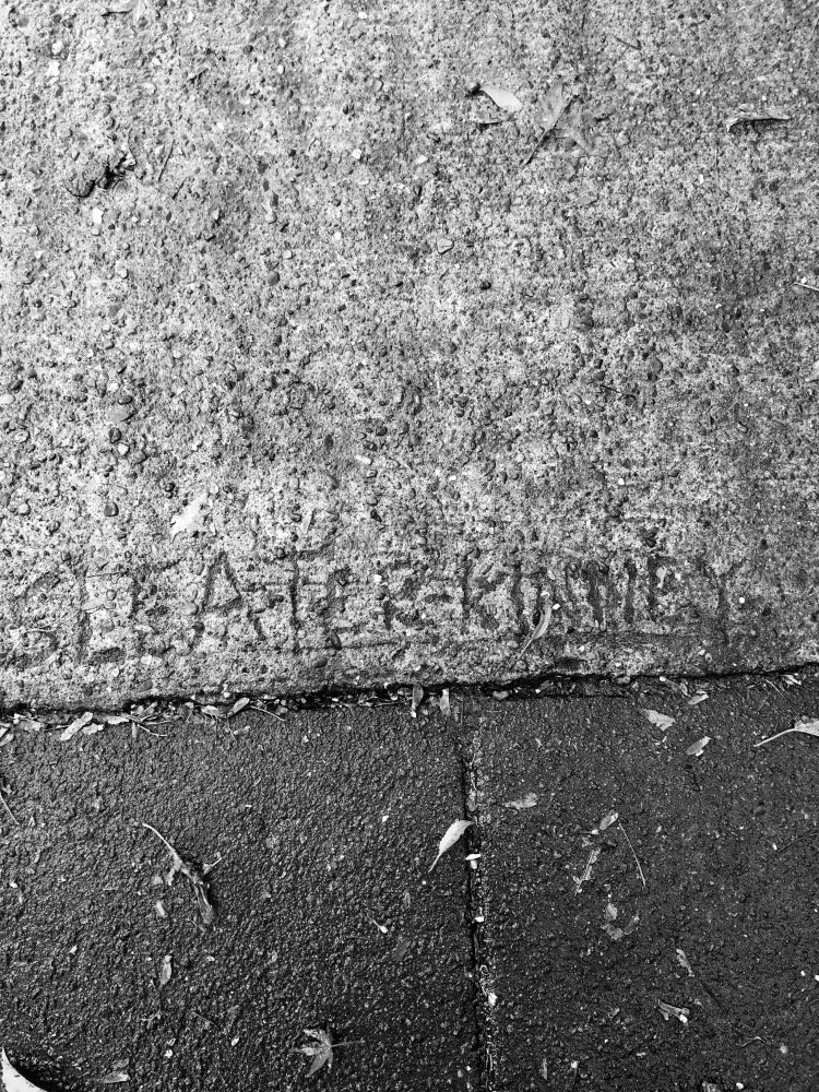 BikeThiefBand's tweet image. @Sleater_Kinney @Carrie_Rachel @corintuckerband
Did we move into the old sleater Kinney house? We found this outside