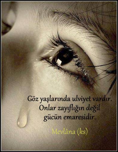 ahturgut's tweet photo. Sorar Kerbela; kendi hal dilince...

"Ya Hüseyn! Sana ağlayamayanlara kimler ağlasın?.."

#MuharremKerbeladır
#Aşura https://t.co/apPHLEUO1k