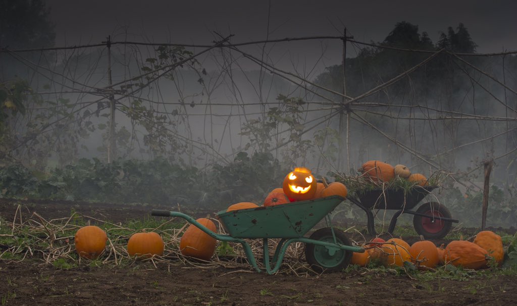 NTSouthWest's tweet photo. Trick or treat: find a Hallowe'en event near you >> https://t.co/u1lbqTRCZJ https://t.co/z6IsKrH6s5