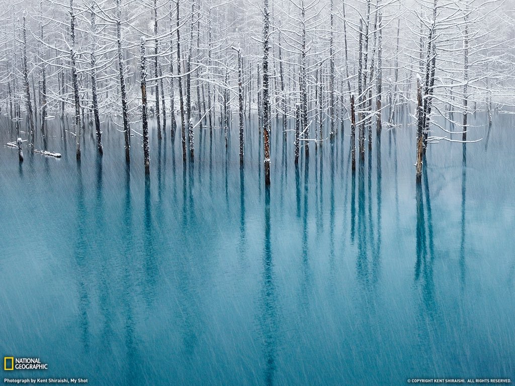 ramblingsloa tweet picture