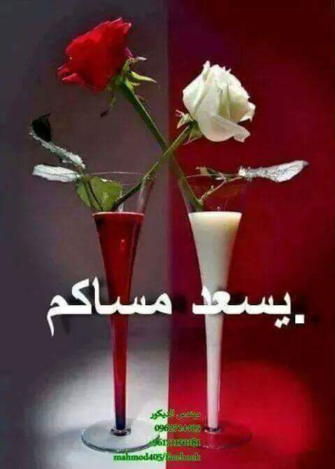 ابو بشار    _اليمن _ (@aomernpel) on Twitter photo 