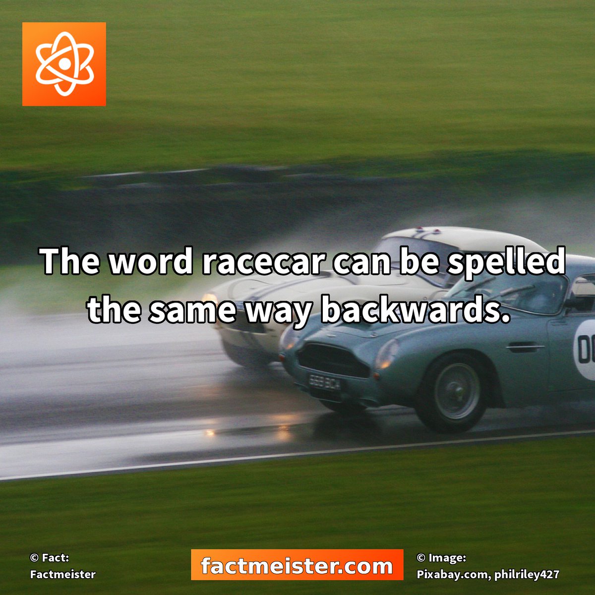 FactmeisterFact's tweet photo. The word #racecar can be spelled the same way backwards. https://t.co/nZmQXhW8br