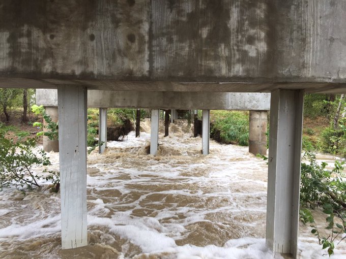 View image on Twitter View image on Twitter