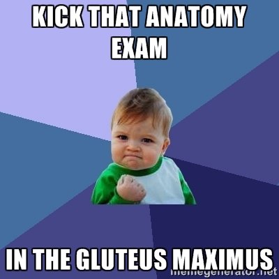 Manatomylab1's tweet photo. Good luck tomorrow everyone! https://t.co/3x6eOEHTcS