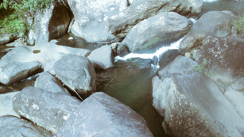 JibaraSoy's tweet photo. Yo creo en magia porque he visto maravillas en lo poco que conozco de mundo. #PuertoRico #SalYExplora #CrisisIsland https://t.co/KMY7Lg0MLD
