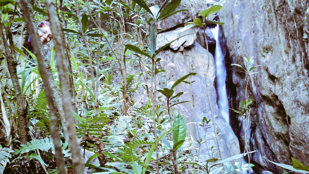 JibaraSoy's tweet photo. Yo creo en magia porque he visto maravillas en lo poco que conozco de mundo. #PuertoRico #SalYExplora #CrisisIsland https://t.co/KMY7Lg0MLD