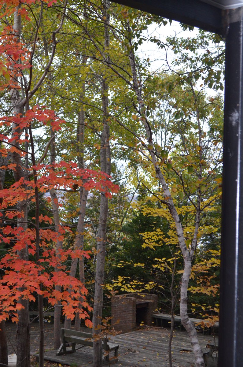 MBoivinArt's tweet photo. #fall in #NovaScotia - so beautiful.To paint Fall Season paintings -on my list #fallseasons #NS #Halifax @novascotia https://t.co/pRY0N9urRc