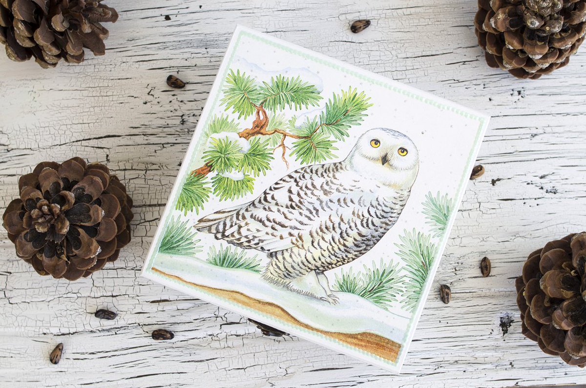 Kroatian's tweet photo. Adorable owl box! Decorated by hand! https://t.co/ltIpctIdbx #owls #boxes #RT #retweet #LS25 #jakarta #tweet4u #FF https://t.co/Jbx0xRPlnd