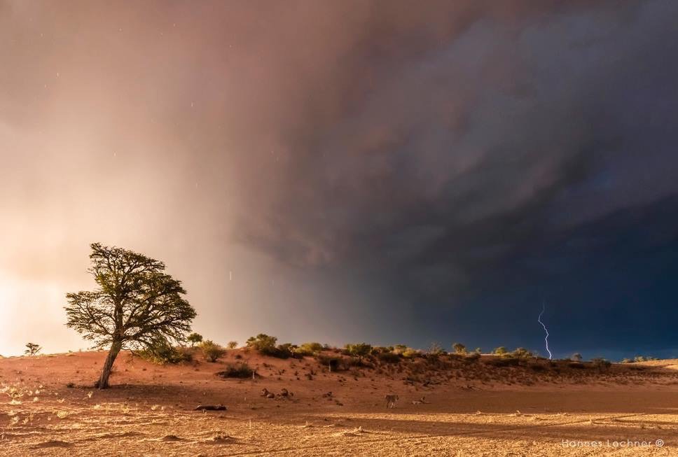GoogsMark's tweet photo. Kalahari. https://t.co/yRf5pv4qRH