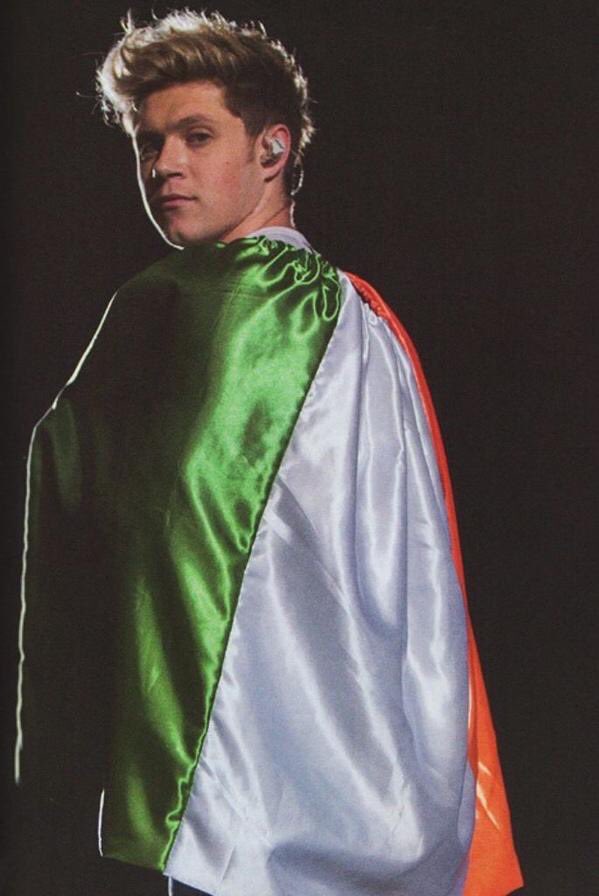 1DWWAlert's tweet image. Might as well keep voting... sooooo VOTE FOR NIALLS LOVE FOR IRELAND #EMABiggestFans1D