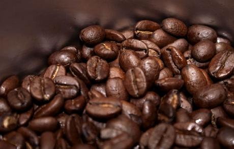 Cómo conservar los granos de café mundoagropecuario.com/como-conservar… via <a href="/Munagropecuario/">Mundo  Agropecuario</a>