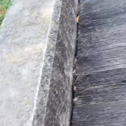 DeniseLitch's tweet photo. |REPLAY| 💫🔮🔑 channeling - how to spot a fake 💫🔮🔑 #katch #Periscope https://t.co/StBIOv9xu9 https://t.co/aYTuDWwsOU