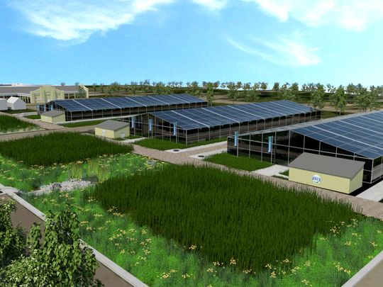 #Detroit Mayor Mike Duggan to announce RecoveryPark deal on land on.freep.com/1H3rO9U