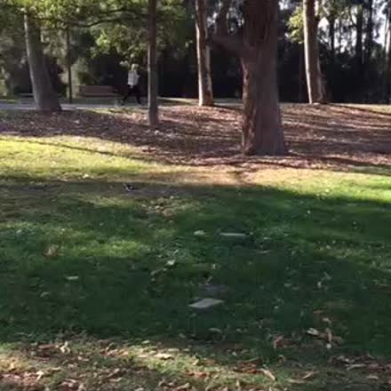 DeniseLitch's tweet photo. |REPLAY| 💫🔮🔑 channeling- how to spot a fake 💫🔮🔑 #katch #psychic #awareness #Periscope https://t.co/QTbdu0z0e5 https://t.co/u9M2zIRBYX