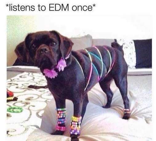 😂😂 #EDM #PLUR https://t.co/VNkNnFuPkW<a href="/tag/edm"class="tags">#EDM</a><a href="/tag/plur"class="tags">#PLUR</a>