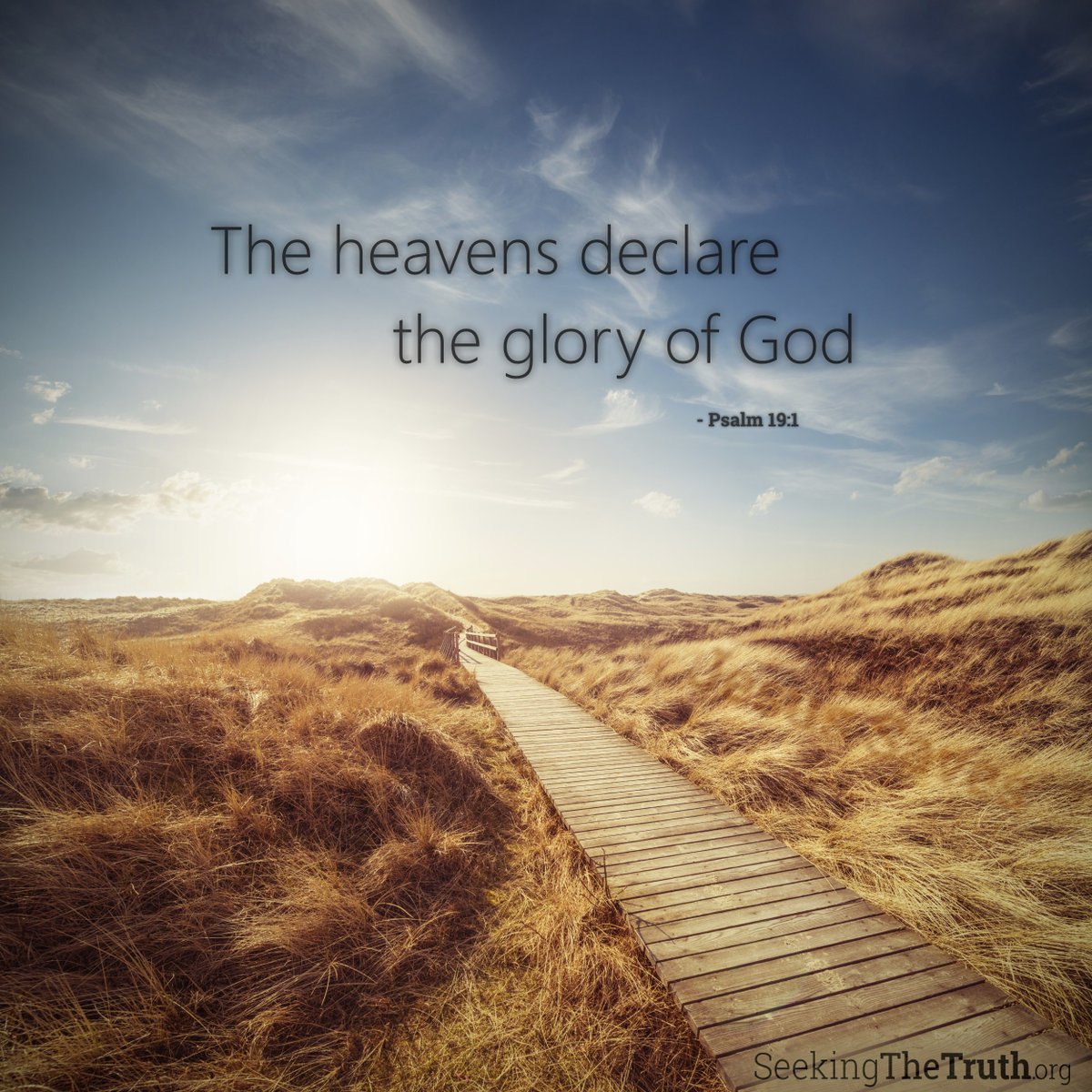 _SeekTheTruth's tweet photo. God put His glory right into creation. We only need look at a night sky or sunset to know Jesus is an awesome God! https://t.co/OXkVJEztSE