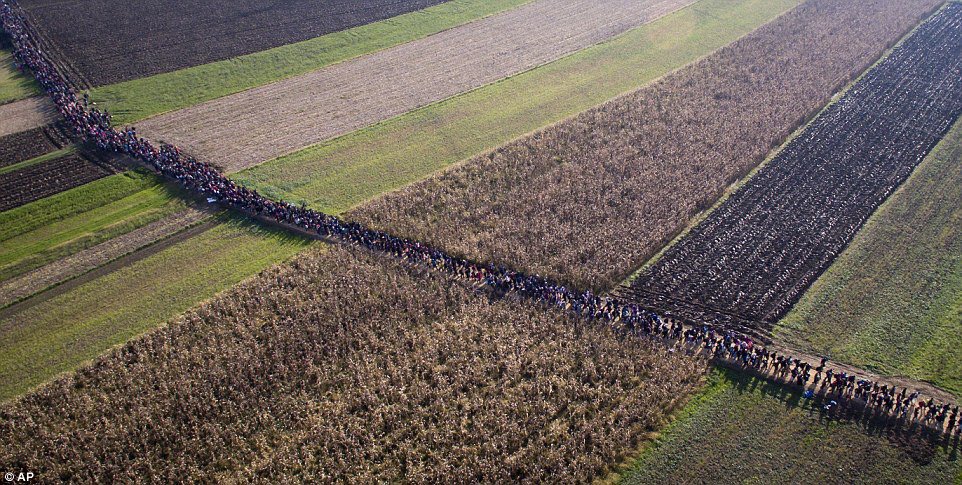 RaquelEcenarro's tweet photo. Columna de #refugiados 

Siguen ahí 
Impresionante foto de Darko Bandic

Buenas noches https://t.co/bOXMTmSmHB