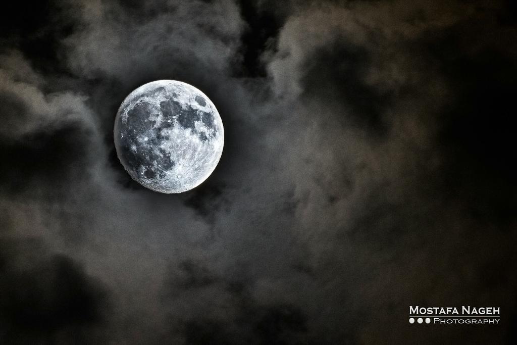 Mostafa Nageh 🇵🇸🔻 tweet media