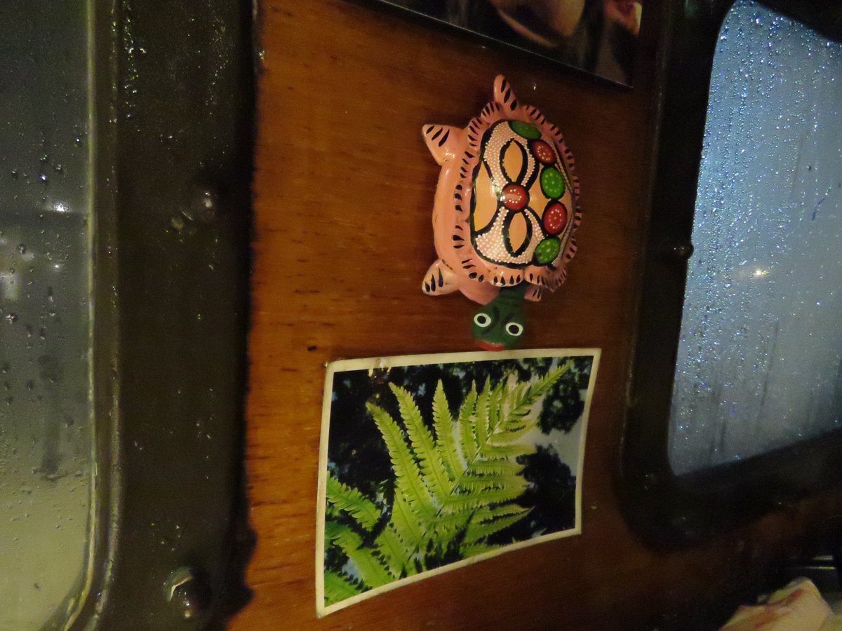 momoparagon's tweet image. Condensation be damned...I'm making stew!
#svparagon #raininginside #thisbetterbegood #wetturtle