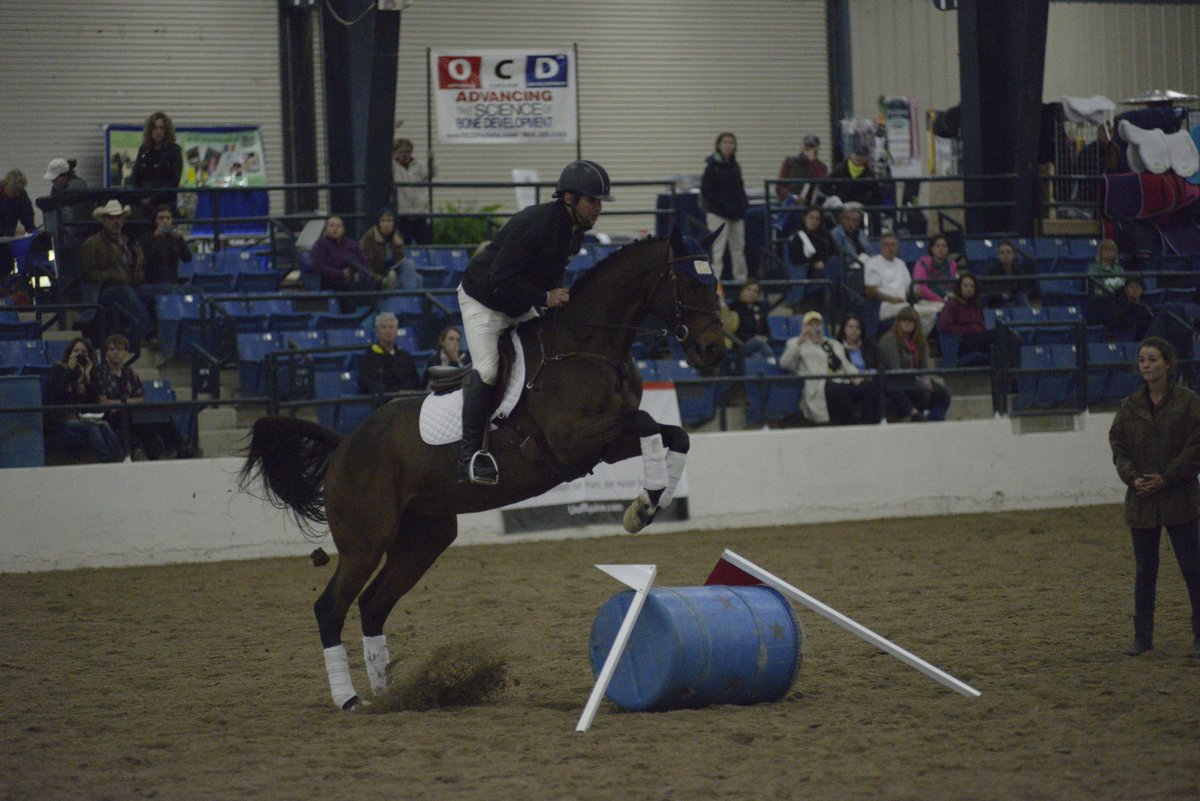 Retired Racehorse Project tweet media