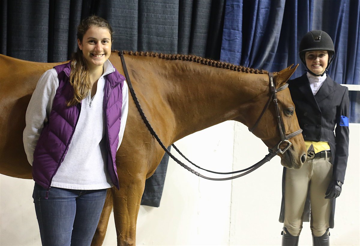 WIHS's tweet photo. Best Turned Out on final day of #WIHS2015 goes to Dreamland ridden by Abigail Brayman, groomed by Jessica Casolari! https://t.co/O7zRpJ3Rv8