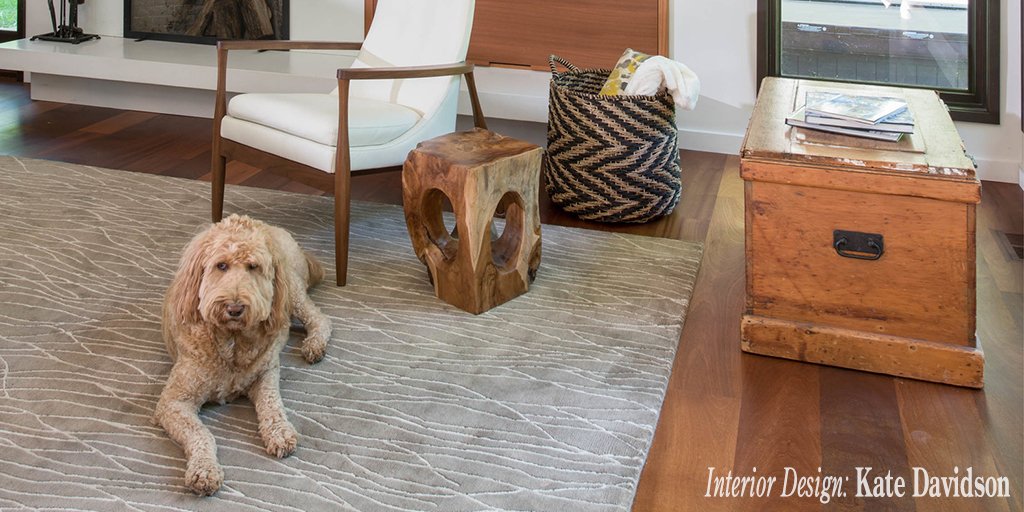 CoxCarpetOne's tweet photo. We give a lot to our pets; give them a space in your home without sacrificing style. https://t.co/7cueJPmN68 https://t.co/qlZHUZMm7f