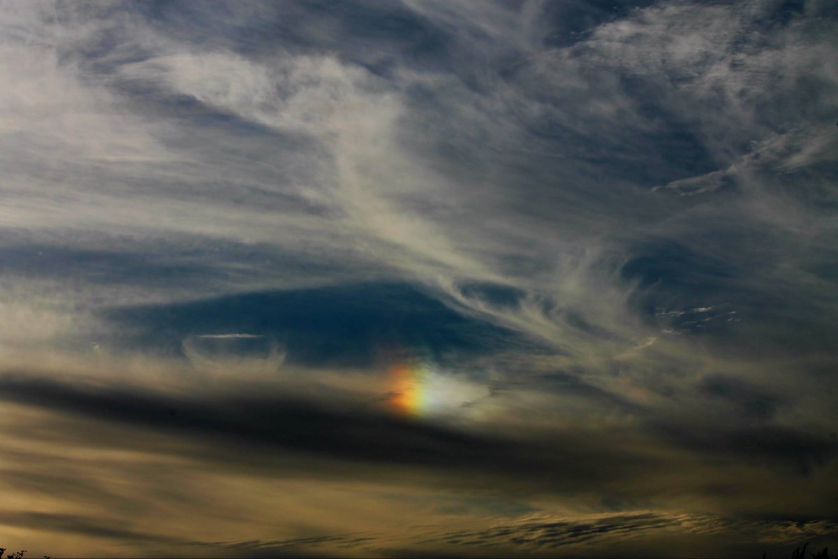 Couple of sun dogs in my Flagler Beach backyard. #LoveFL #FlaglerBeach