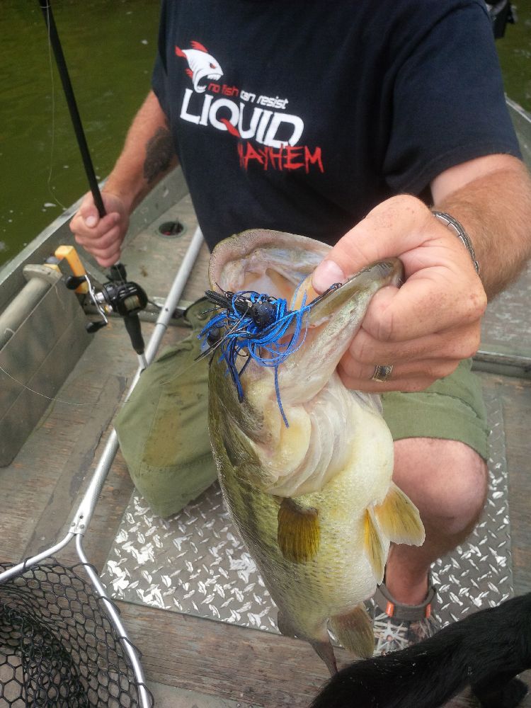 CanuckBassin's tweet photo. This was a mainstay for big buckets this past summer. @TeamSantone 3/4oz #RattlinJig and @Anglers_Choice #SpeedBug https://t.co/EyZEj2ZbSD