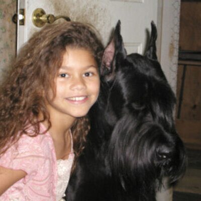 tevxtdrive tweet picture