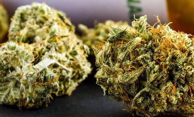 inside_cannabis's tweet photo. The Las Vegas police is being sued over confiscating someone's medical marijuana. https://t.co/584BUqqJkD #news https://t.co/bOHJzRLpkh