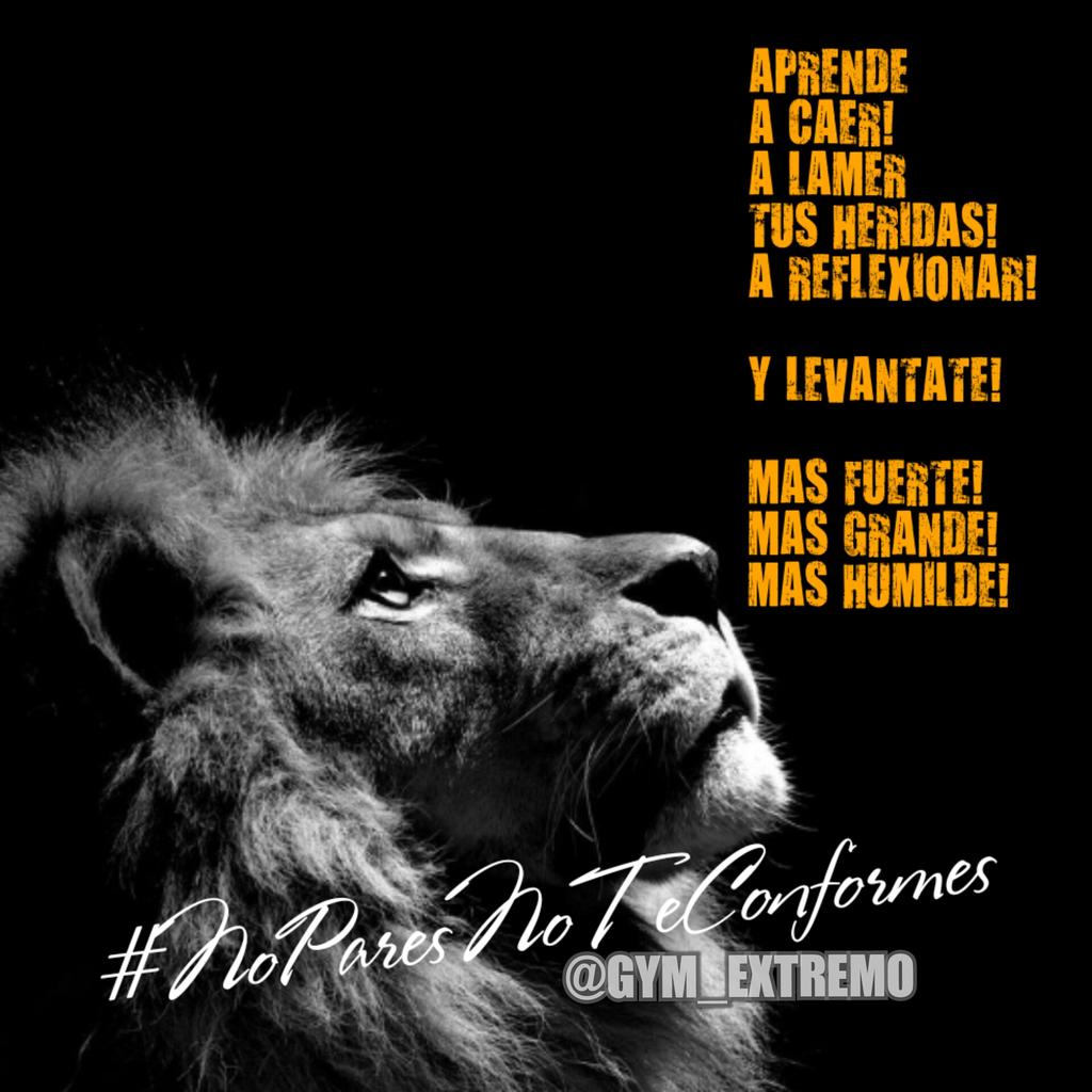 GYM_EXTREMO's tweet photo. "Éxito es tener la capacidad de transformar un obstáculo en una oportunidad" 💪 https://t.co/17VyJekG9x