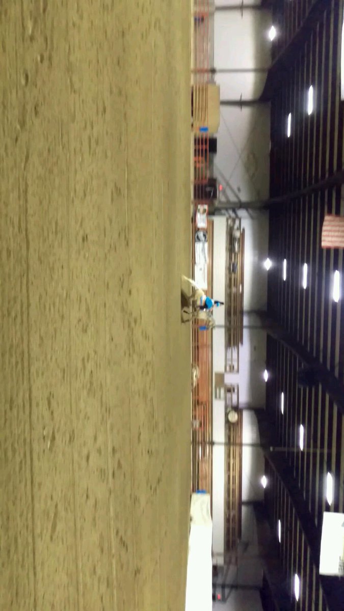 WhataTuffShame's tweet photo. #freestylereining #reining #cowhorse https://t.co/B3LKGLatbM