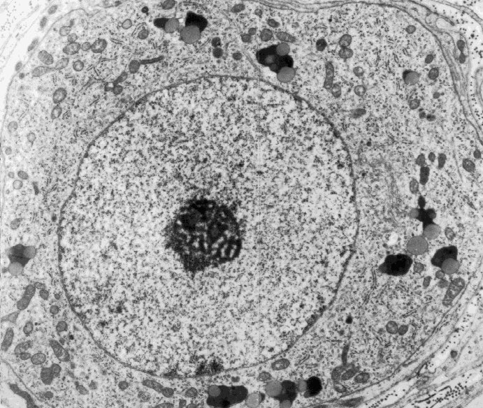 Nuc_Jonas's tweet photo. @itstheGOLGIhour Our real #CellfieSunday #2000xFilter https://t.co/uLWf7TfZe4