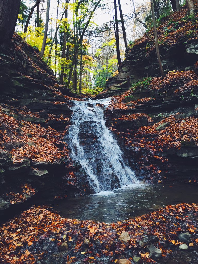 siddhartha723's tweet photo. letchworth state park https://t.co/4Og1XkLA6O