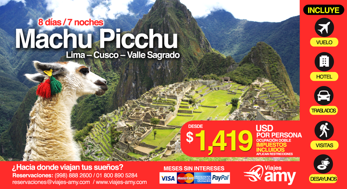 Viajes Amy tweet media