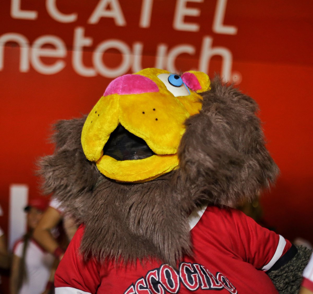 ClaroRD's tweet photo. ¡Rufo abandona el terreno para darnos una probada de su rudeza en el #VIPLounge! ⚾️ #VIPClaro #clarodeportes https://t.co/pmTHivcOUf