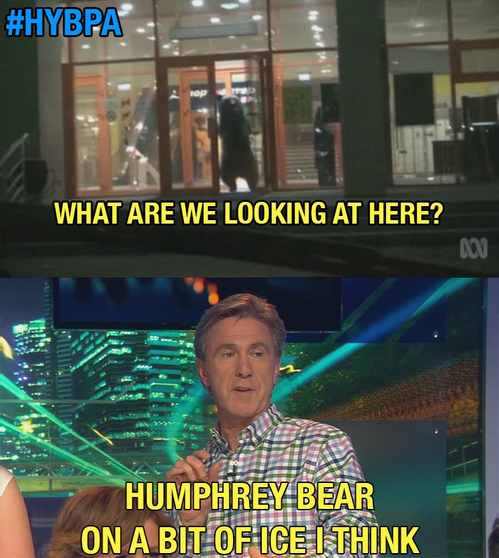 Have You Been Paying Attention? tweet media