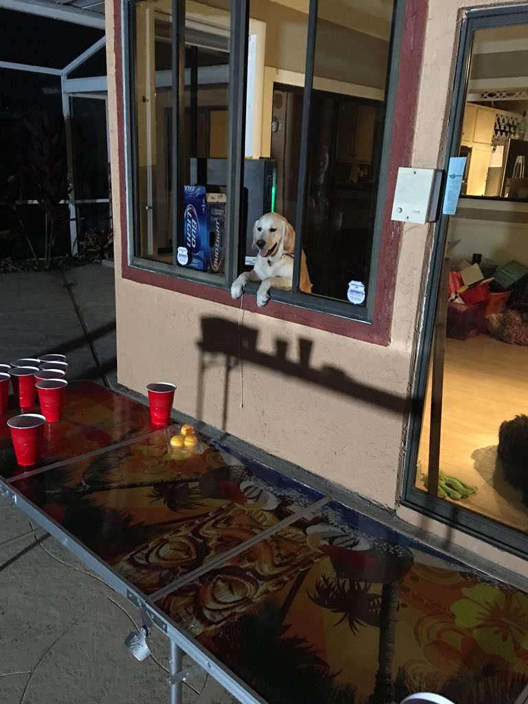 TmarTn's tweet image. Cooper here to take your order