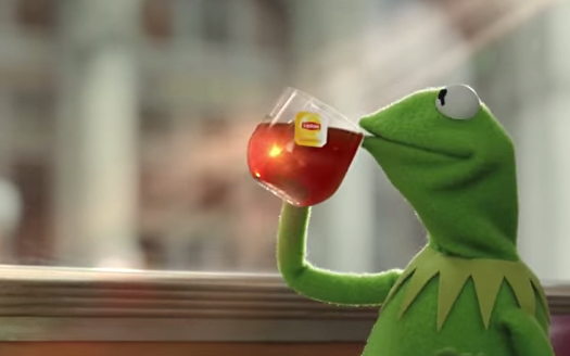 cleo_duh's tweet photo. How's the tea?  @te_para_puer https://t.co/gzTywApT5n