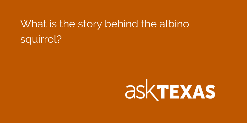 AskTexas tweet media