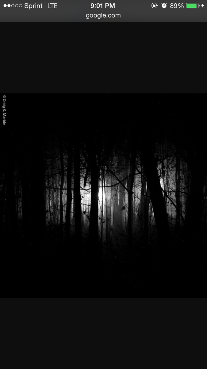 youknowtituba's tweet photo. If only Abby and her pets could keep quiet about what happened in the woods, chaos wouldn't have erupted in Salem. https://t.co/vhBGKAE1KU