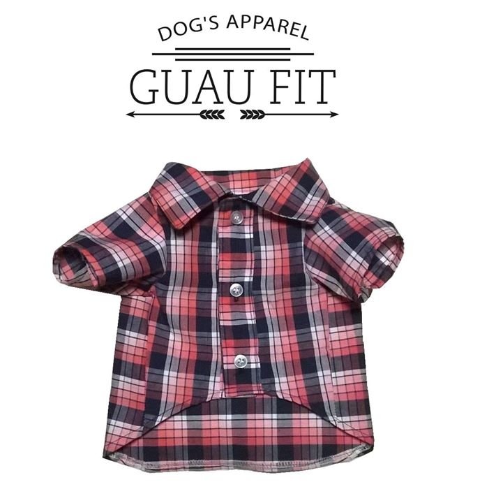 guaufit's tweet photo. Ya a la venta contáctanos! Por el momento solo entregas en el metro Chapultepec y Cd Azteca. #Guaufit #ropadeperro https://t.co/MGIjWbbXZd