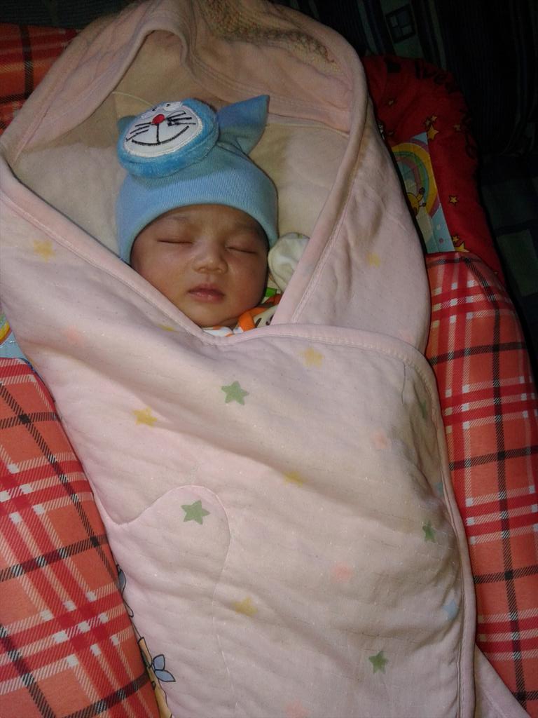 ewik hippo!! tweet media