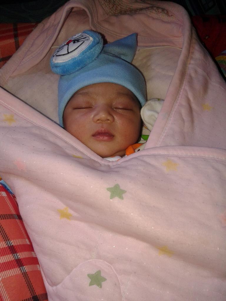 ewik hippo!! tweet media