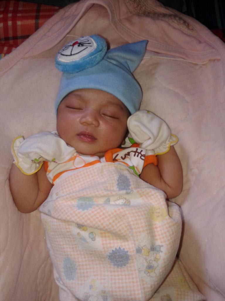 ewik hippo!! tweet media